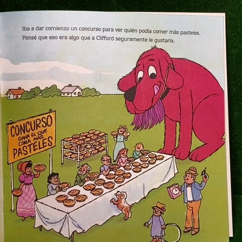 Softcover Book 