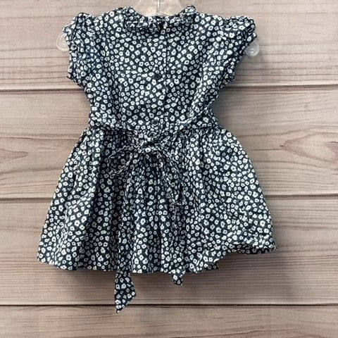 Livly Girls Dress Baby: 06-12m