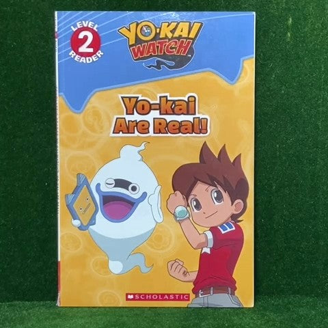 Softcover Book 