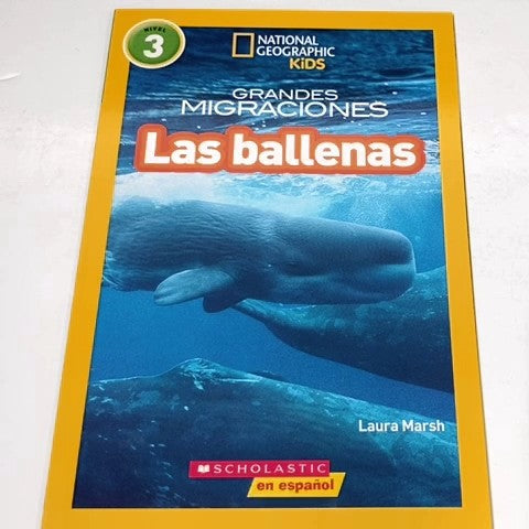 Softcover Book 