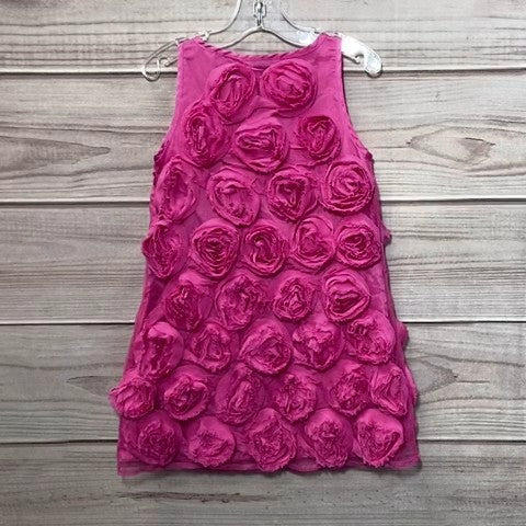 Gap Girls Dress Size: 04