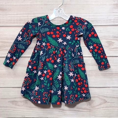 Hanna Andersson Girls Dress Size: 02