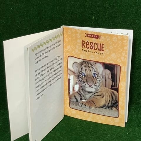 Softcover Book 