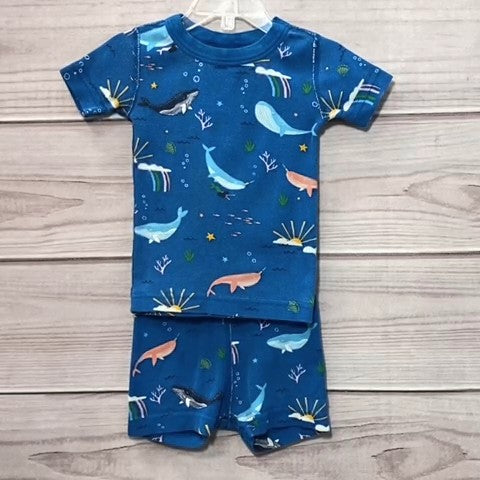 Hanna Andersson Unisex Pajamas Size: 02