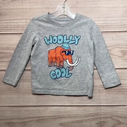 Carters Boys Shirt Size: 02