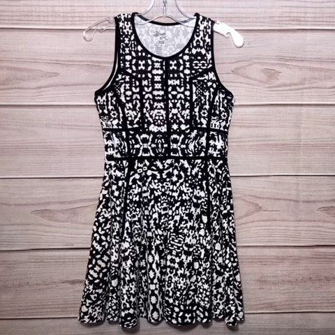 Flowers by Zoe Girls Dress Size: 08