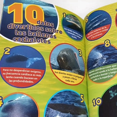 Softcover Book 