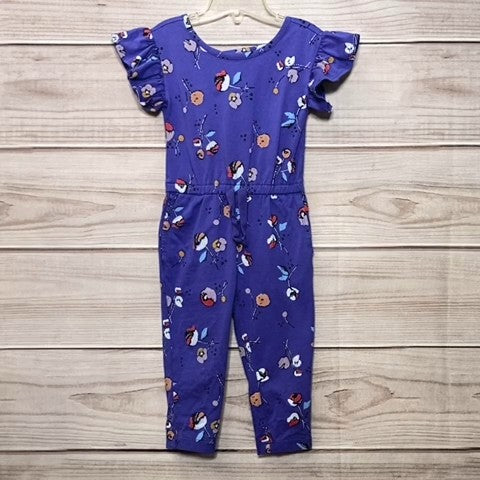 Tea Girls Jumpsuit Size: 02