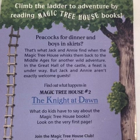 Softcover Book 