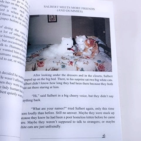 Softcover Book 