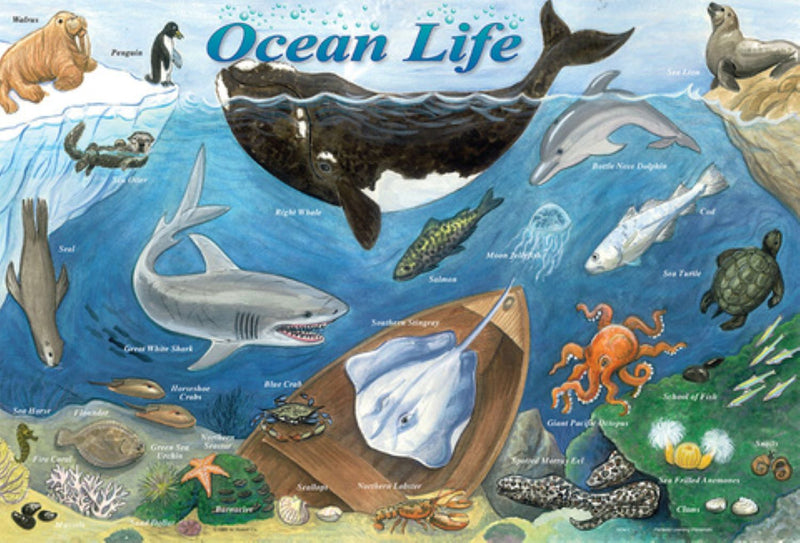 Painless Learning Placemat Ocean Life Placemat