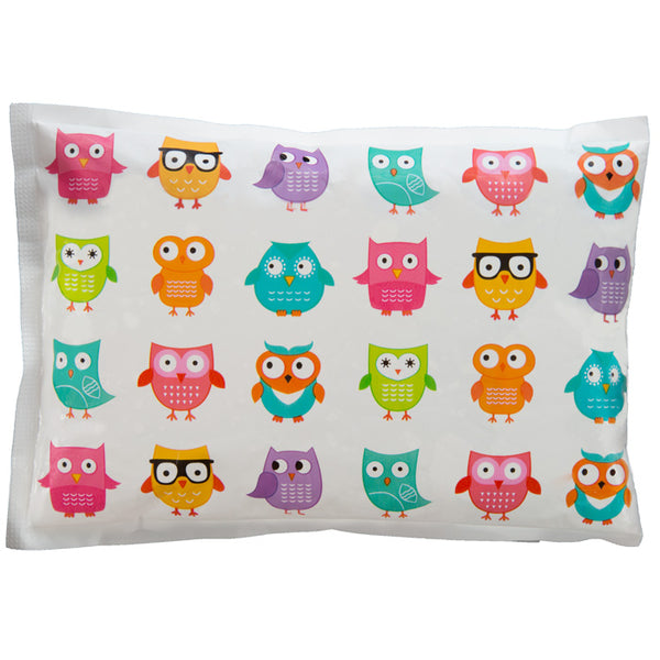 Cool Packs for lunchboxes